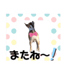 Claireちゃん（個別スタンプ：4）