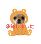 Claireちゃん（個別スタンプ：13）