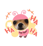 Claireちゃん（個別スタンプ：20）
