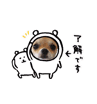Claireちゃん（個別スタンプ：26）