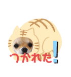 Claireちゃん（個別スタンプ：30）