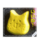 【長文OK】猫(ねこ)メッセージ（個別スタンプ：17）