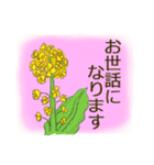 敬語とかわいい植物（個別スタンプ：17）