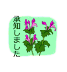 敬語とかわいい植物（個別スタンプ：19）