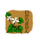 敬語とかわいい植物（個別スタンプ：36）