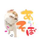 癒しの口悪スコティッシュあまこ（個別スタンプ：14）