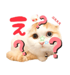 癒しの口悪スコティッシュあまこ（個別スタンプ：15）