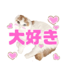 癒しの口悪スコティッシュあまこ（個別スタンプ：16）
