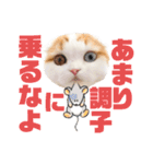 癒しの口悪スコティッシュあまこ（個別スタンプ：18）