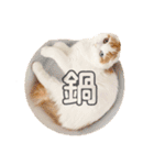 癒しの口悪スコティッシュあまこ（個別スタンプ：30）