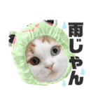 癒しの口悪スコティッシュあまこ（個別スタンプ：32）