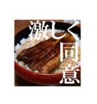 あらら？のランチ 慎挨拶編（個別スタンプ：14）