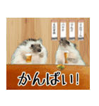 ハリネズミのハリコラ スタンプ（個別スタンプ：5）