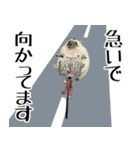 ハリネズミのハリコラ スタンプ（個別スタンプ：6）