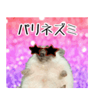 ハリネズミのハリコラ スタンプ（個別スタンプ：11）