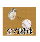 ハリネズミのハリコラ スタンプ（個別スタンプ：20）