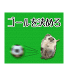 ハリネズミのハリコラ スタンプ（個別スタンプ：21）