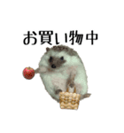 ハリネズミのハリコラ スタンプ（個別スタンプ：27）