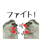 ハリネズミのハリコラ スタンプ（個別スタンプ：29）