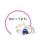 ねこ丸のせかい 敬語編（個別スタンプ：4）