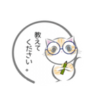 ねこ丸のせかい 敬語編（個別スタンプ：13）