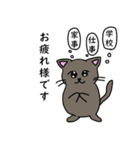 猫ののほほん敬語スタンプ（個別スタンプ：5）