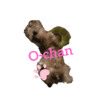 kappiとo-chan#3（個別スタンプ：3）