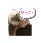 kappiとo-chan#3（個別スタンプ：5）