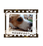 ハル君の気分（個別スタンプ：1）