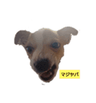 ハル君の気分（個別スタンプ：4）