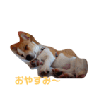ハル君の気分（個別スタンプ：13）
