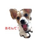 ハル君の気分（個別スタンプ：15）