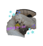 my pet k（個別スタンプ：2）