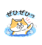 敬語の温泉ねこ（個別スタンプ：6）