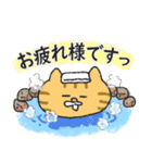 敬語の温泉ねこ（個別スタンプ：11）