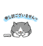 敬語の温泉ねこ（個別スタンプ：39）