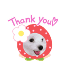 Petit stamp（個別スタンプ：8）
