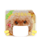 chocolate macaron bear（個別スタンプ：14）
