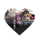 chocolate macaron bear（個別スタンプ：19）