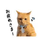 小麦のお願い2（個別スタンプ：2）