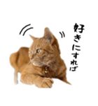 小麦のお願い2（個別スタンプ：12）