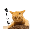 小麦のお願い2（個別スタンプ：17）