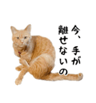 小麦のお願い2（個別スタンプ：23）