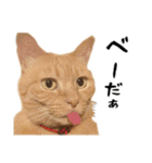 小麦のお願い2（個別スタンプ：27）