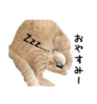 小麦のお願い2（個別スタンプ：29）