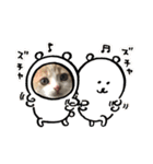 あむくんとてんちゃん（個別スタンプ：3）