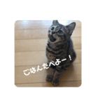 あむくんとてんちゃん（個別スタンプ：18）