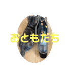 あむくんとてんちゃん（個別スタンプ：24）