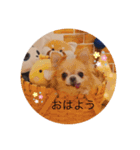 おキャンスタンプ2（個別スタンプ：1）