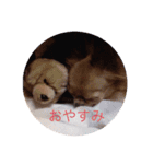 おキャンスタンプ2（個別スタンプ：4）